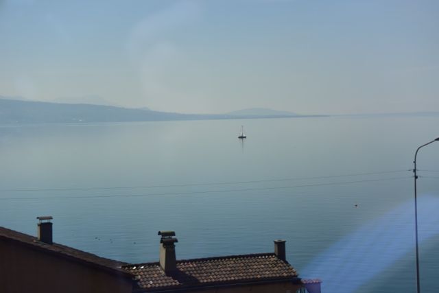 DSC_0867.jpg