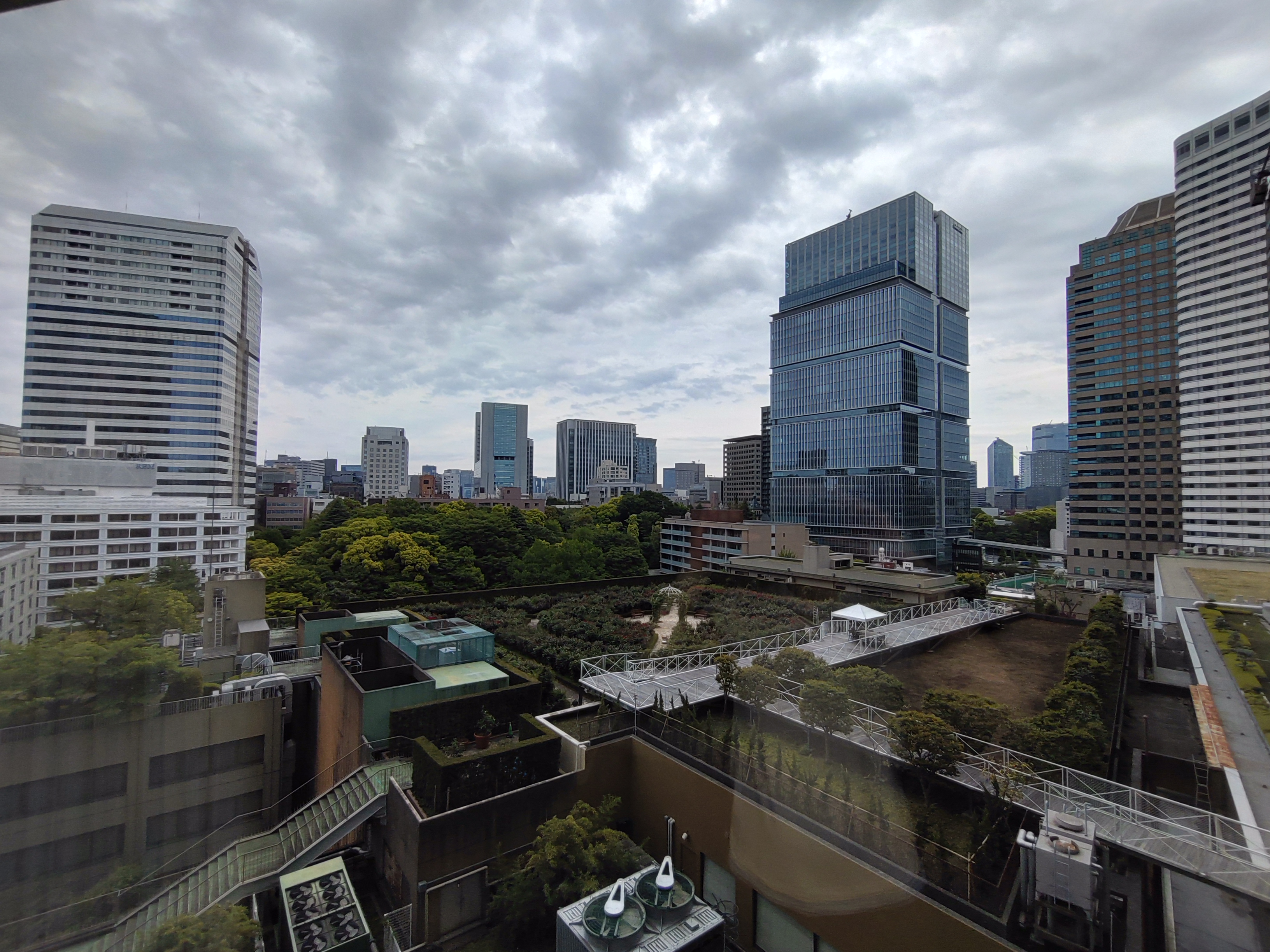 DSC_1534.JPG