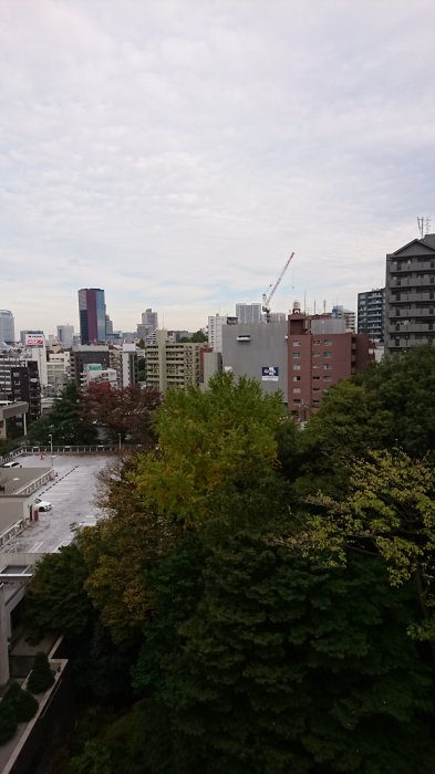 DSC_2529.JPG