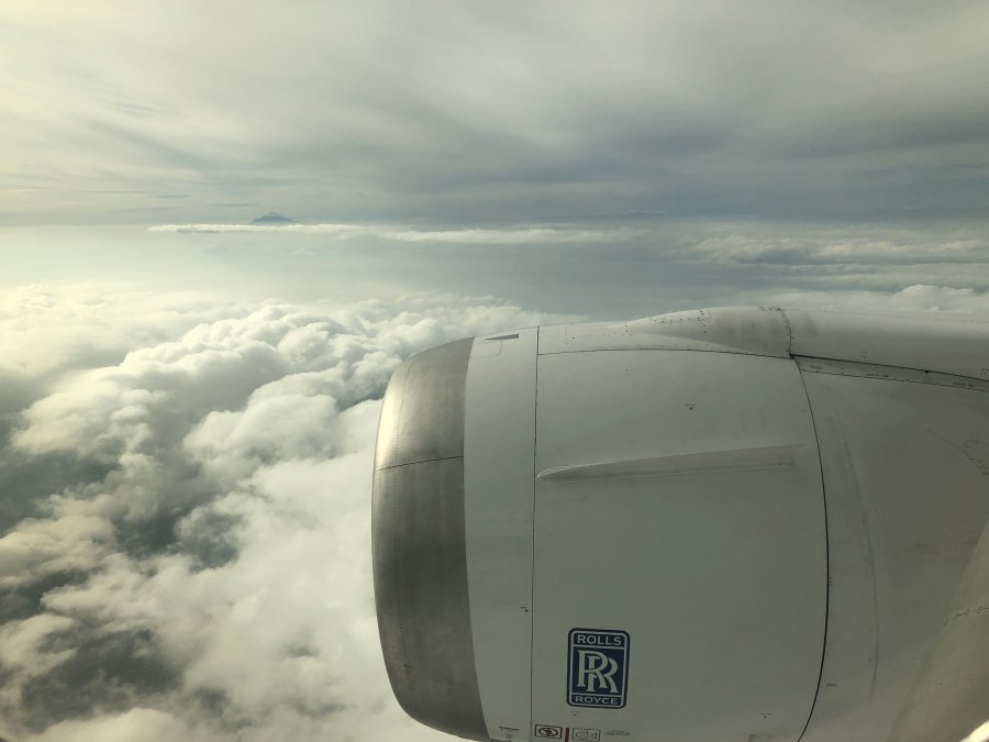E5796131-2381-40A8-9728-2D7487D09787.jpeg