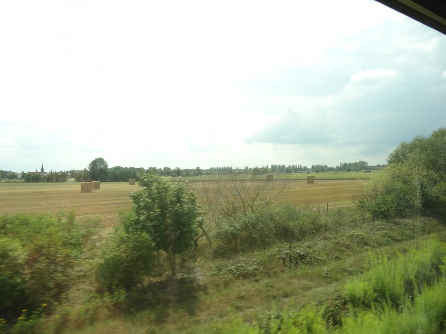 F9EBCE7D-1D6F-4A5D-BF42-AF593091A50B.jpeg
