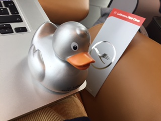 fct_duck.jpeg