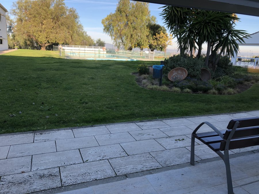 FE408817-E059-4641-8050-4EE353E92109.jpeg