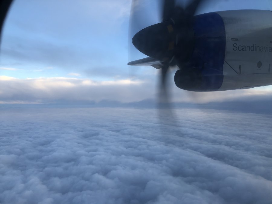 FF62BAA4-9F7B-4B7A-B968-44AEF7AAC385.jpeg