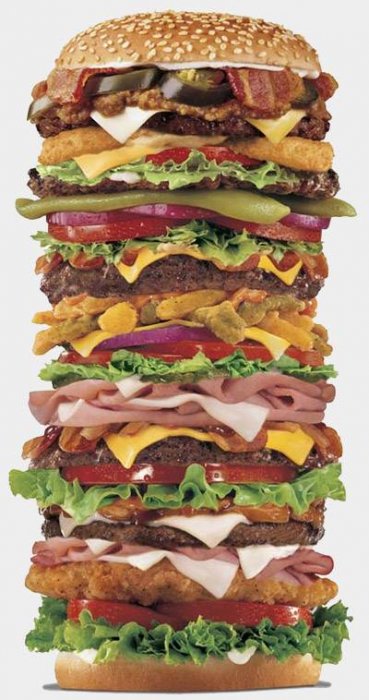 hamburgerlarge.jpg