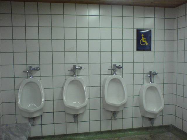 Handikapp wc.jpg