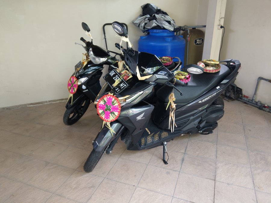 IMAG5915.jpg