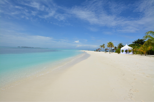 ImageUploadedByTapatalk1452012883.848143.jpg