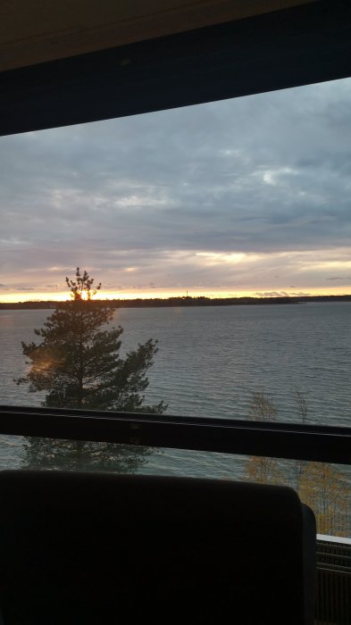 IMG-20211018-WA0012.jpeg
