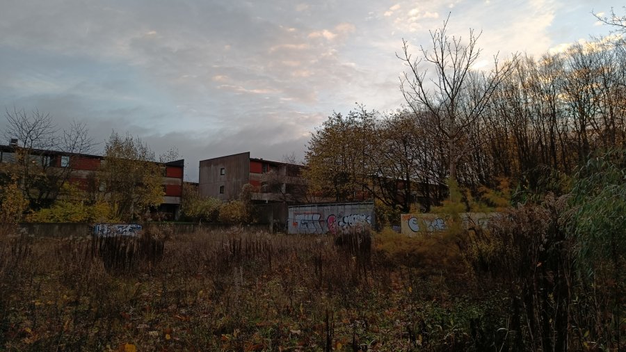 IMG20211118075954.jpg