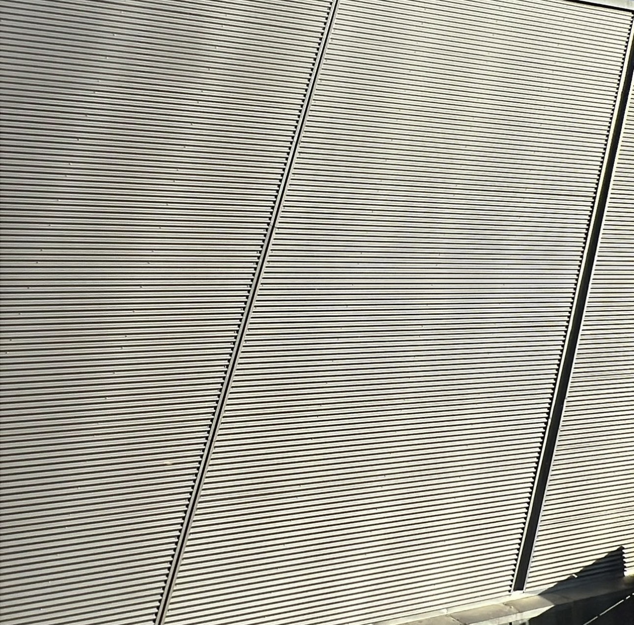IMG_0063.jpeg