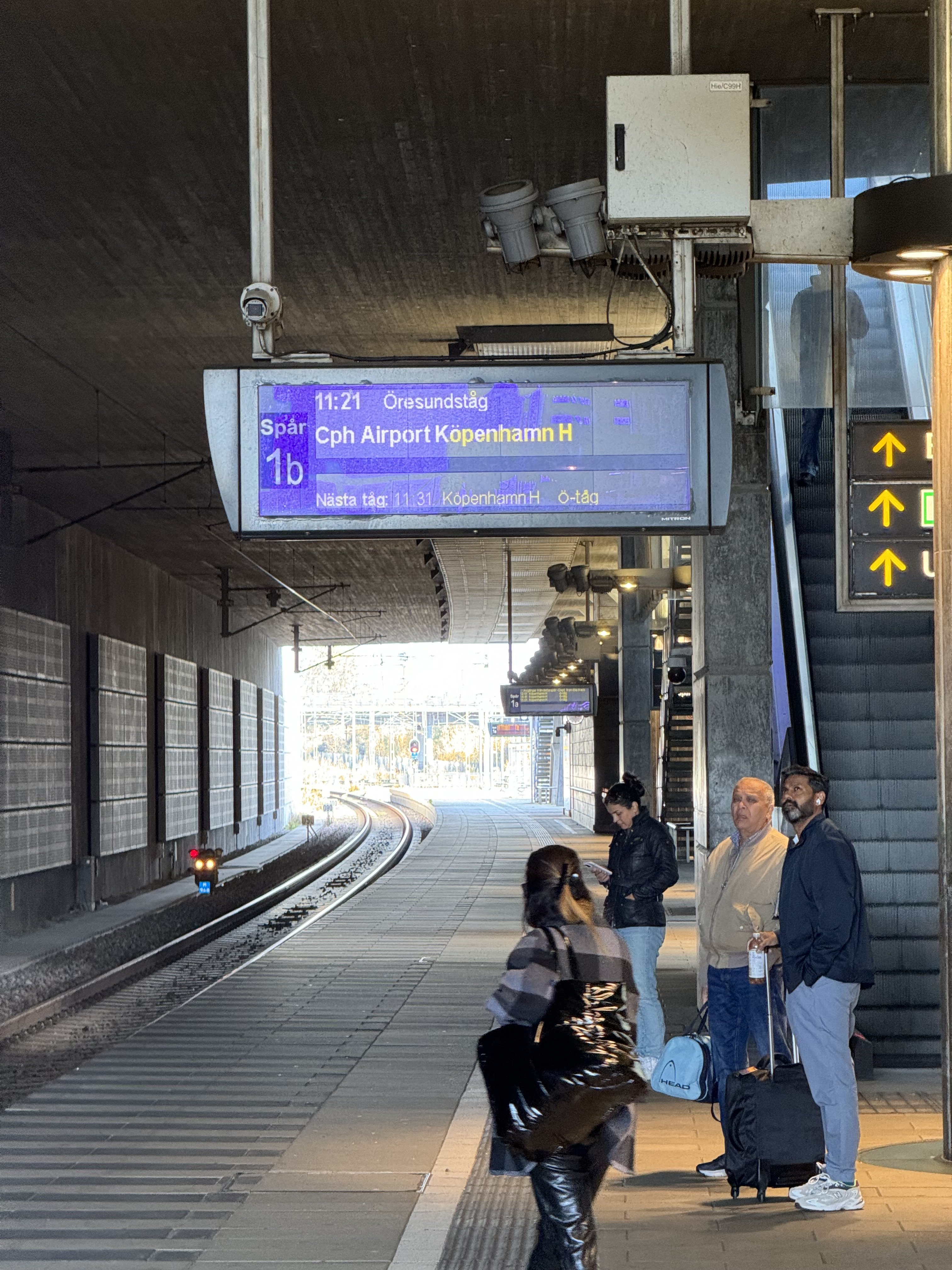 IMG_0080.jpeg