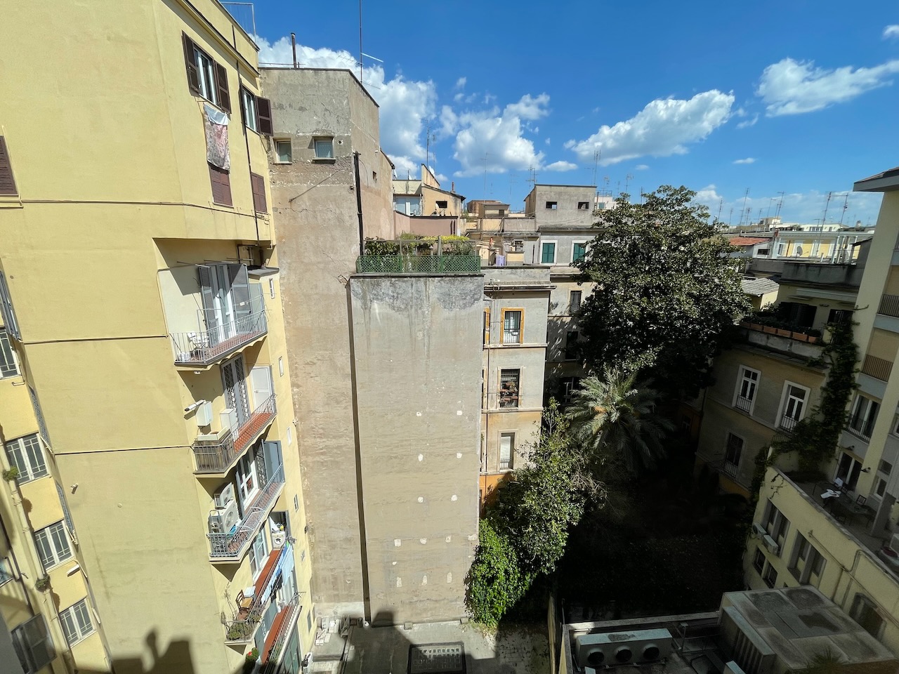 IMG_0137.jpeg