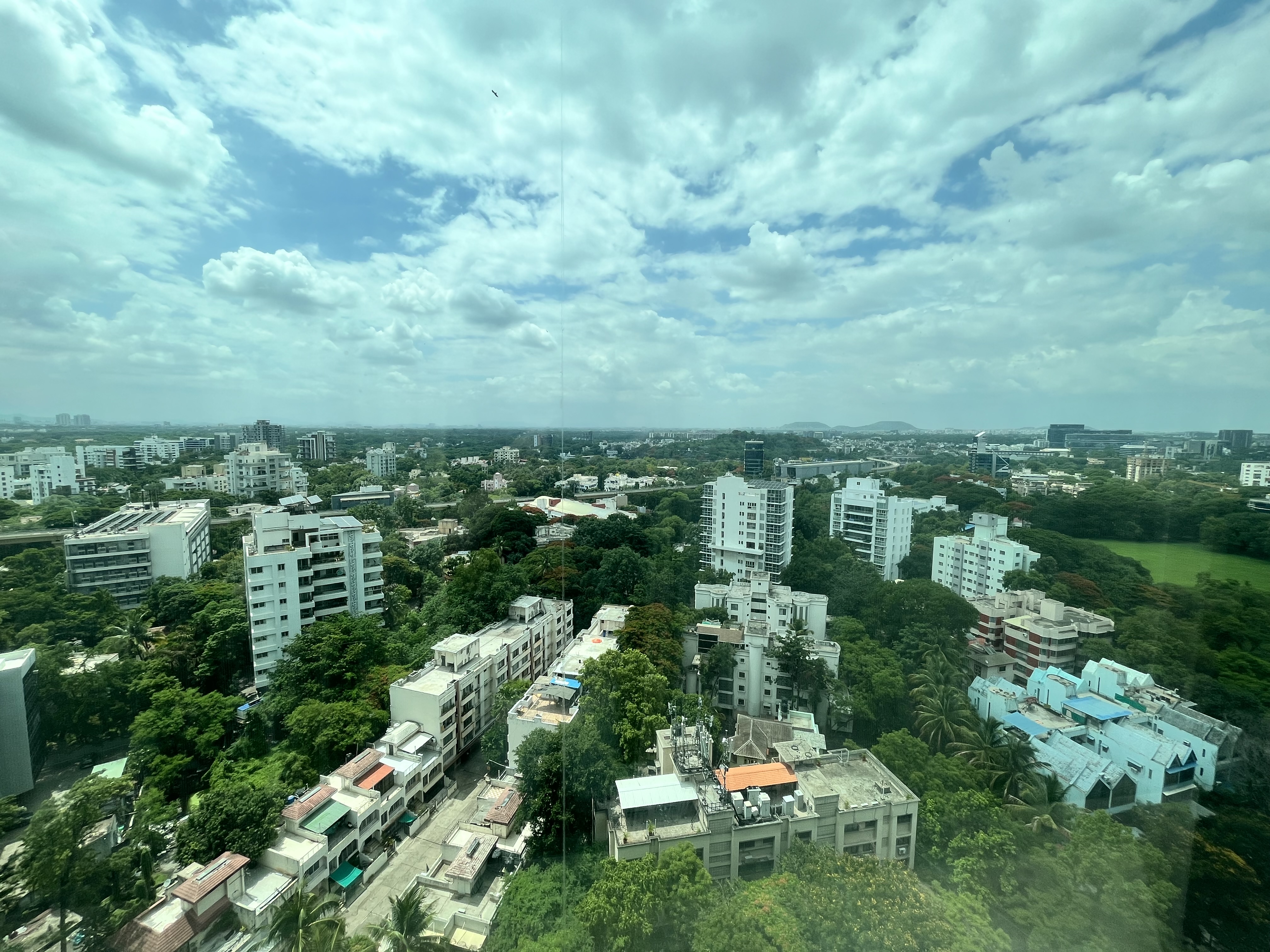 IMG_0156.jpeg