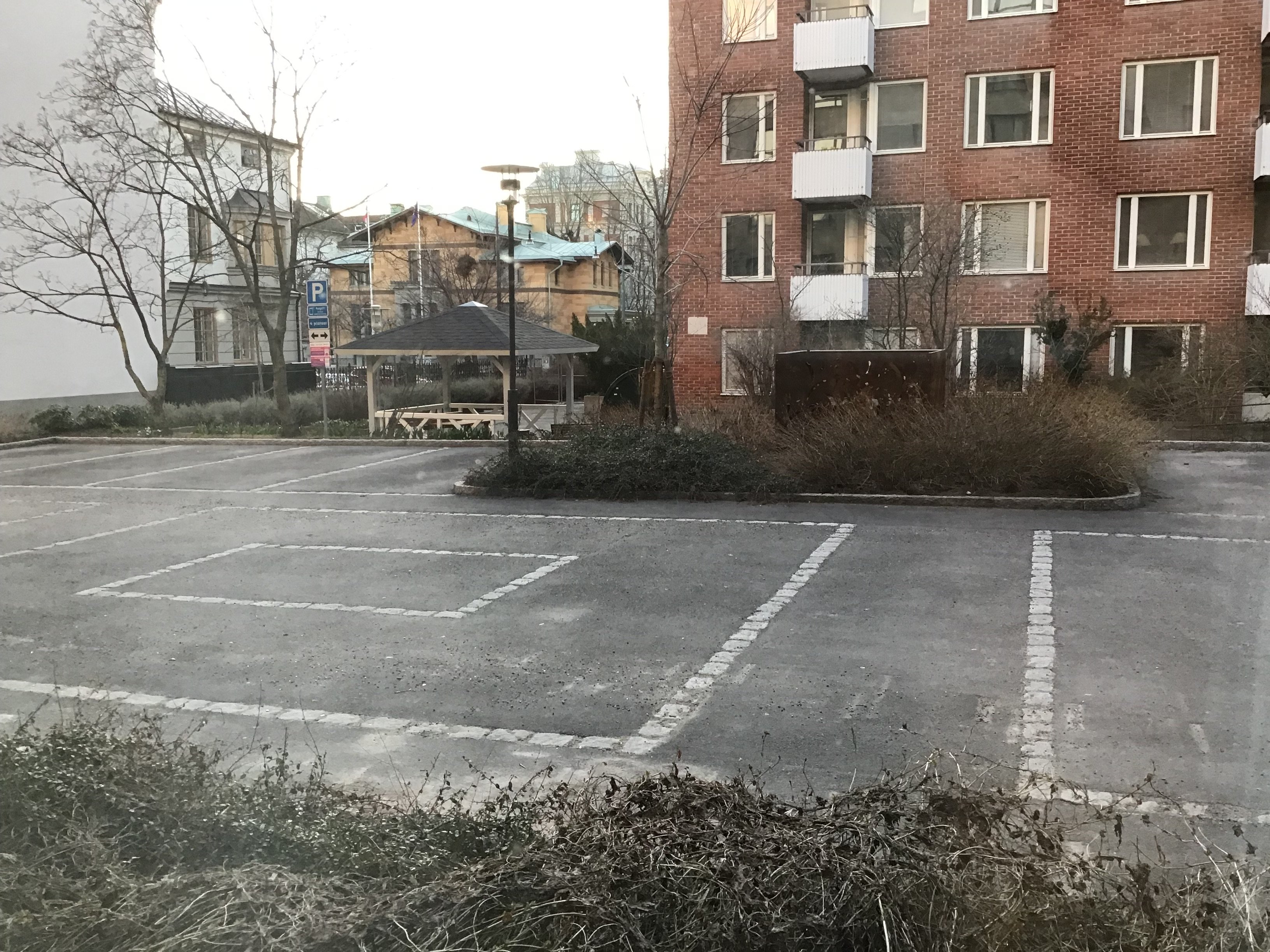 IMG_0169.jpeg