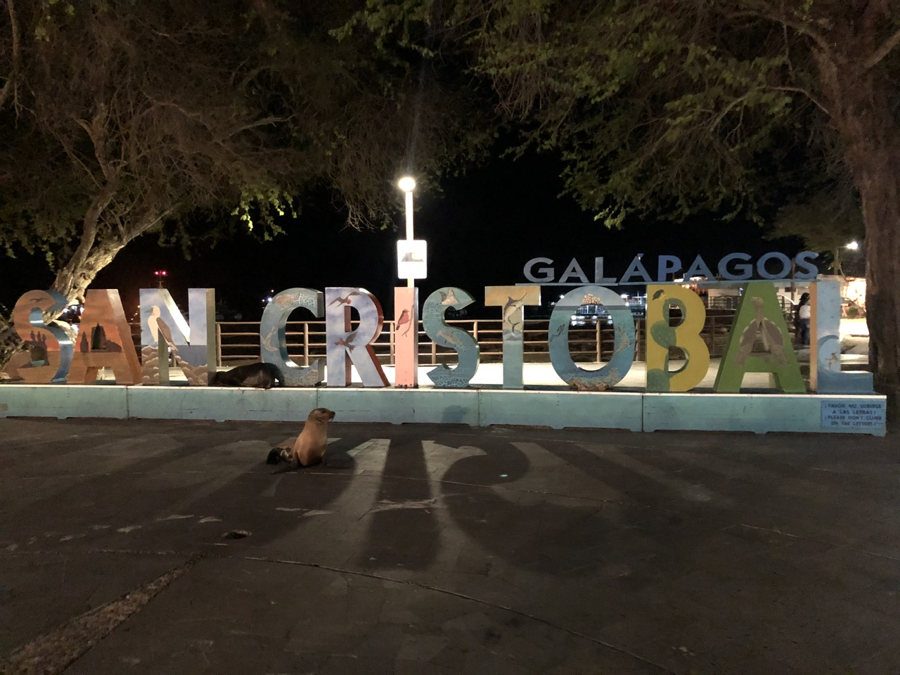 IMG_0254.jpeg