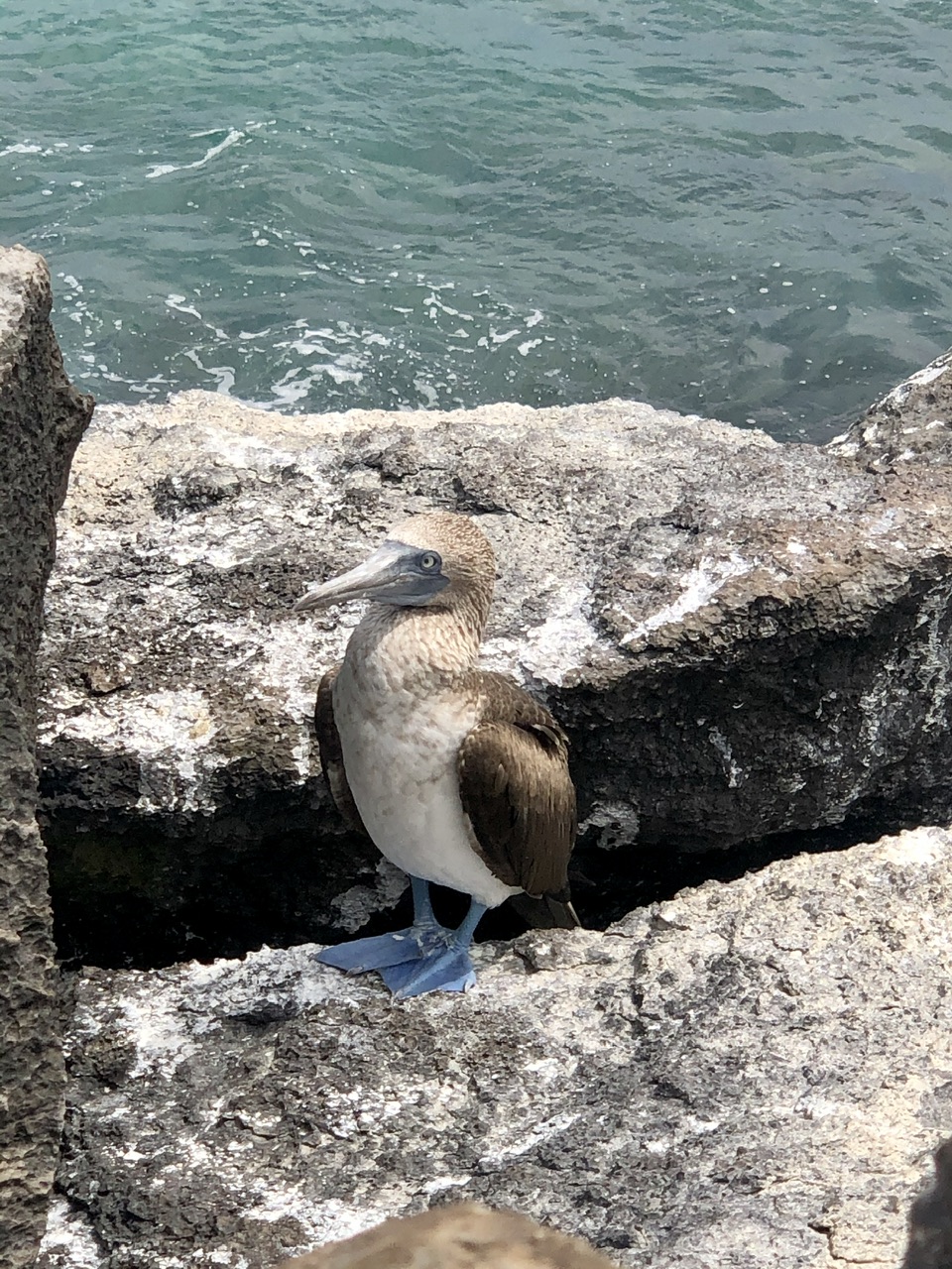 IMG_0319.jpeg
