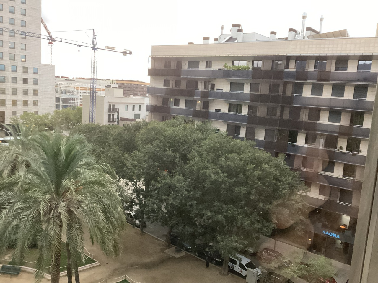 IMG_0561.jpeg