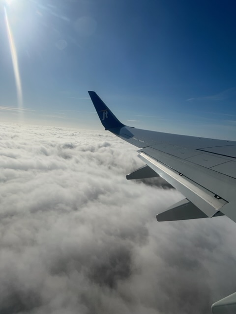 IMG_0661.jpeg