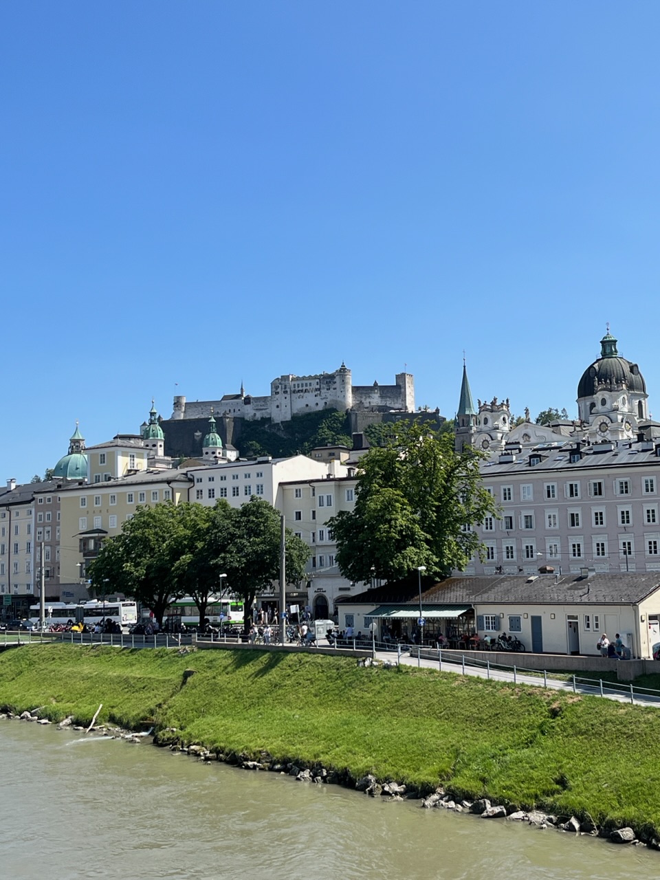 IMG_0933.jpeg