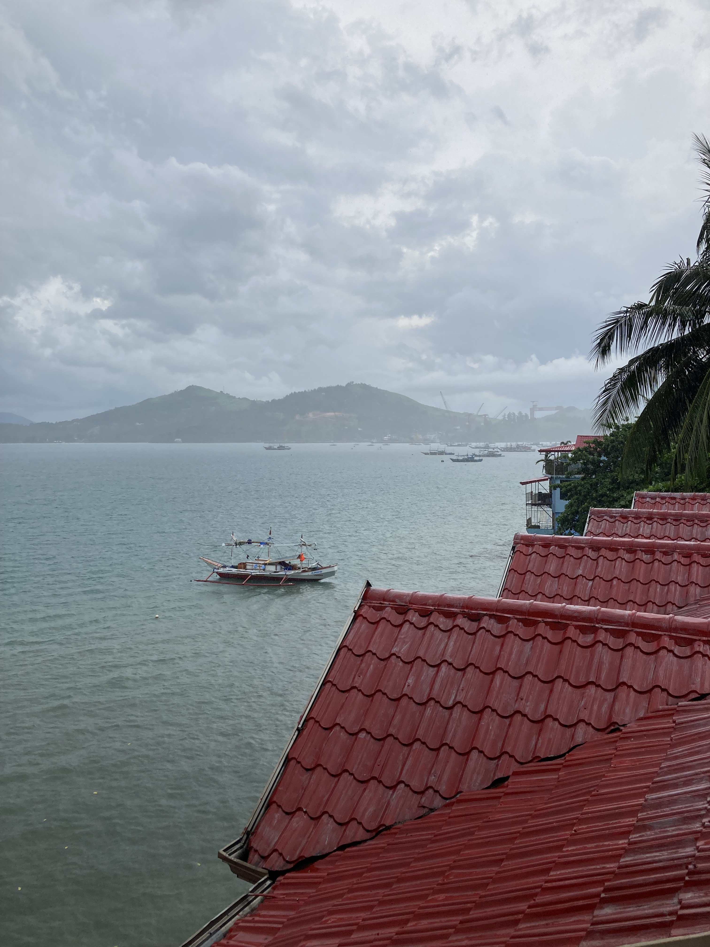 IMG_0965.jpeg