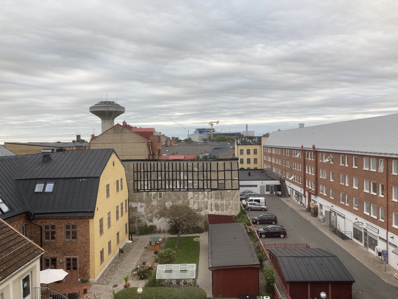 IMG_1032.jpeg