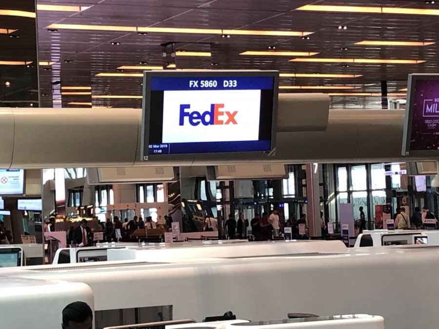 IMG_1049.jpeg
