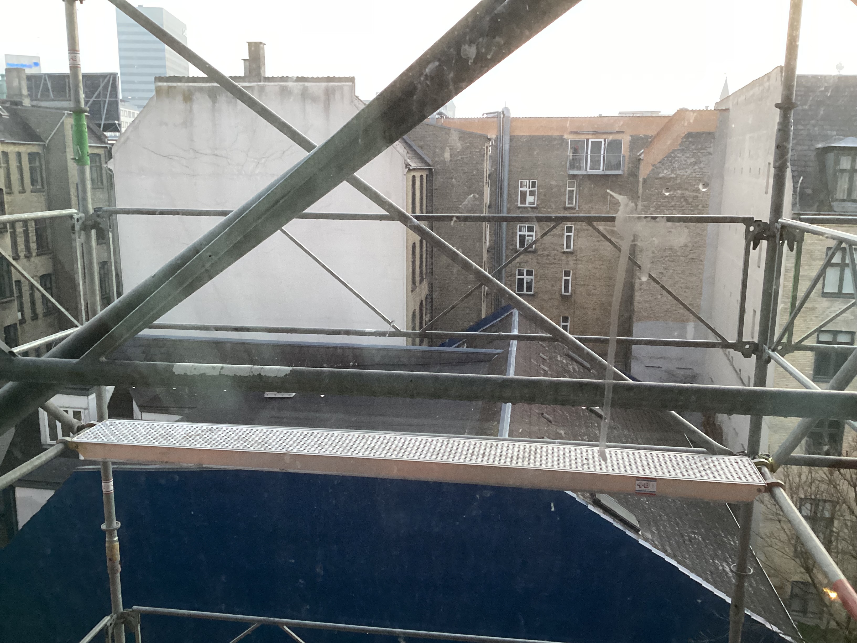 IMG_1481.jpeg