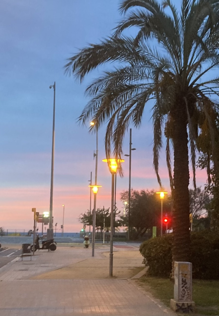 IMG_1491.jpeg