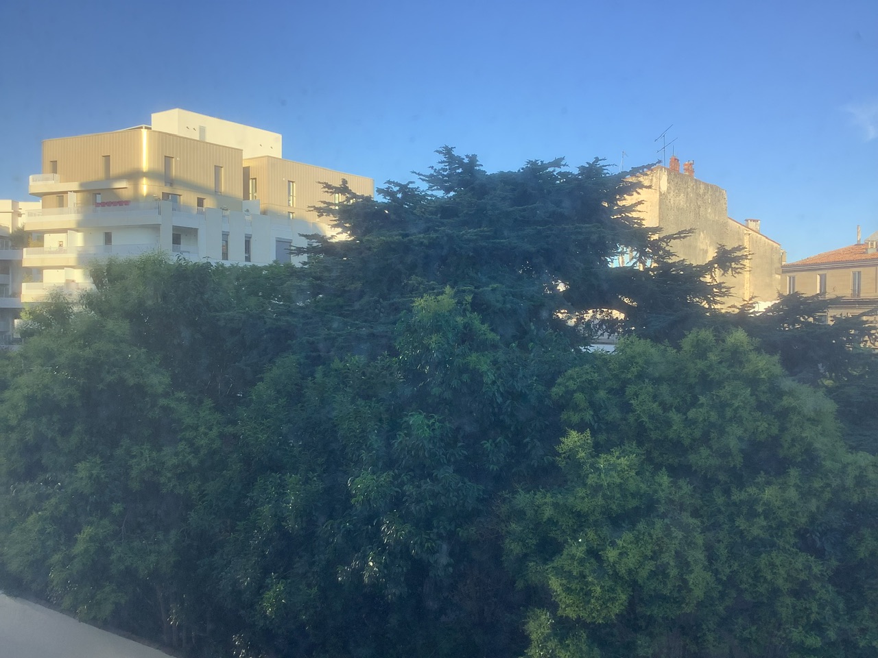 IMG_1830.jpeg