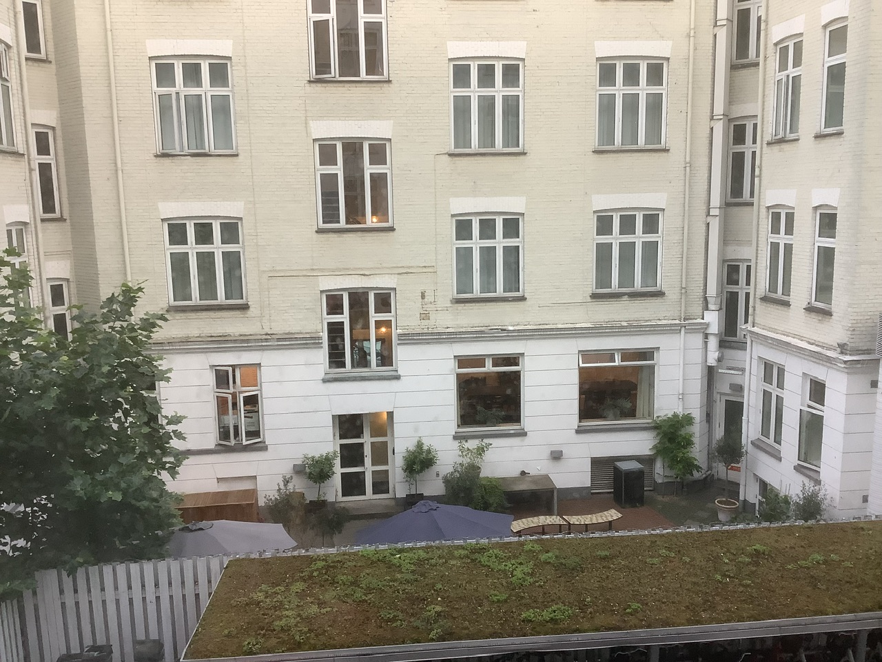 IMG_1855.jpeg
