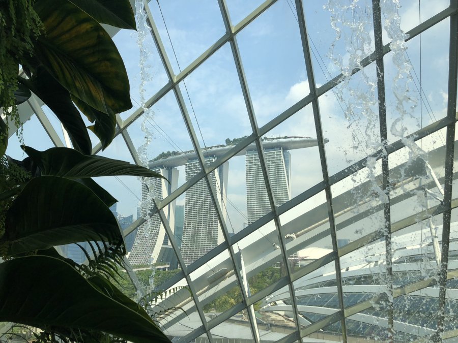 IMG_1936.JPEG