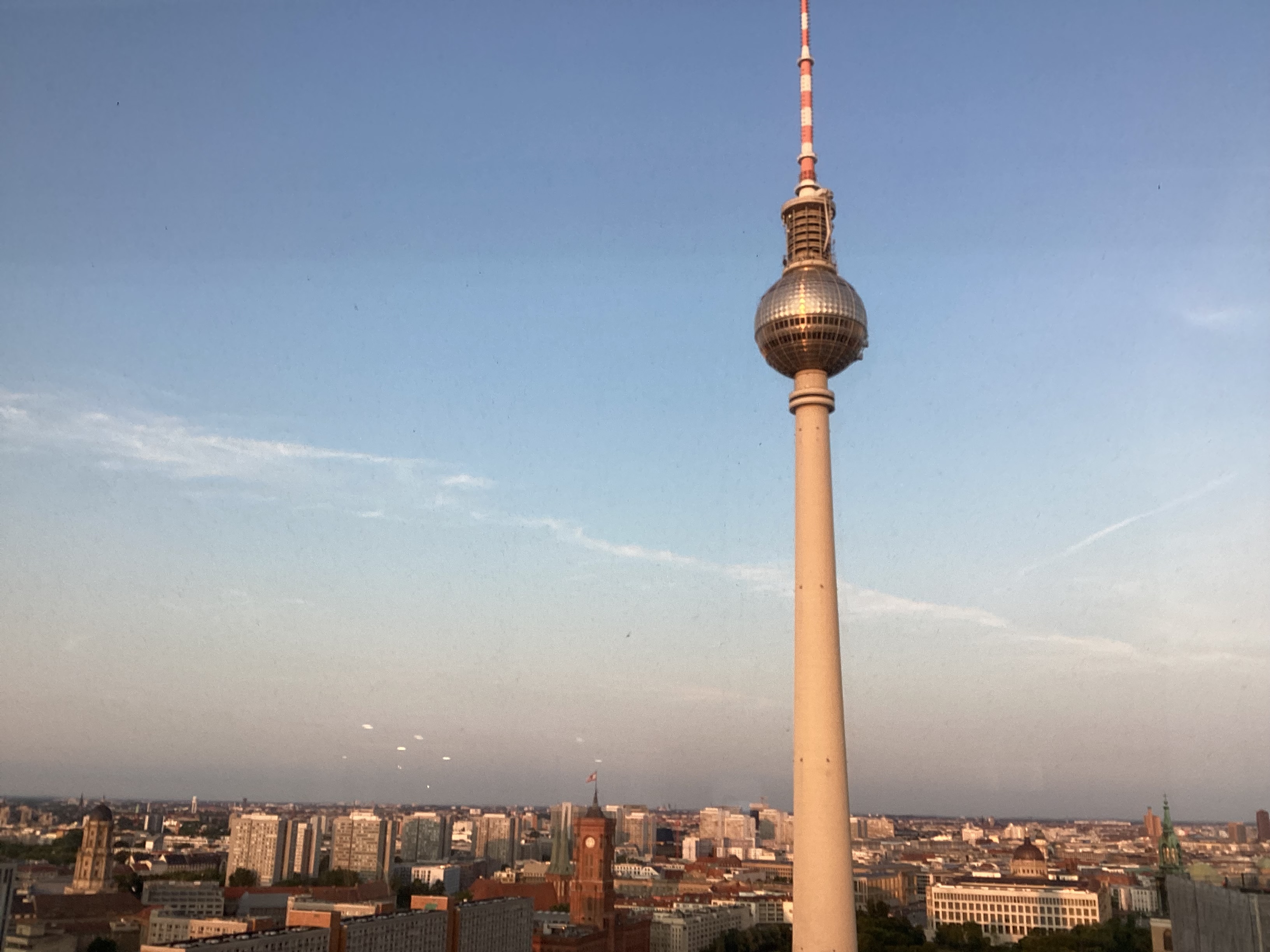 IMG_1984.jpeg