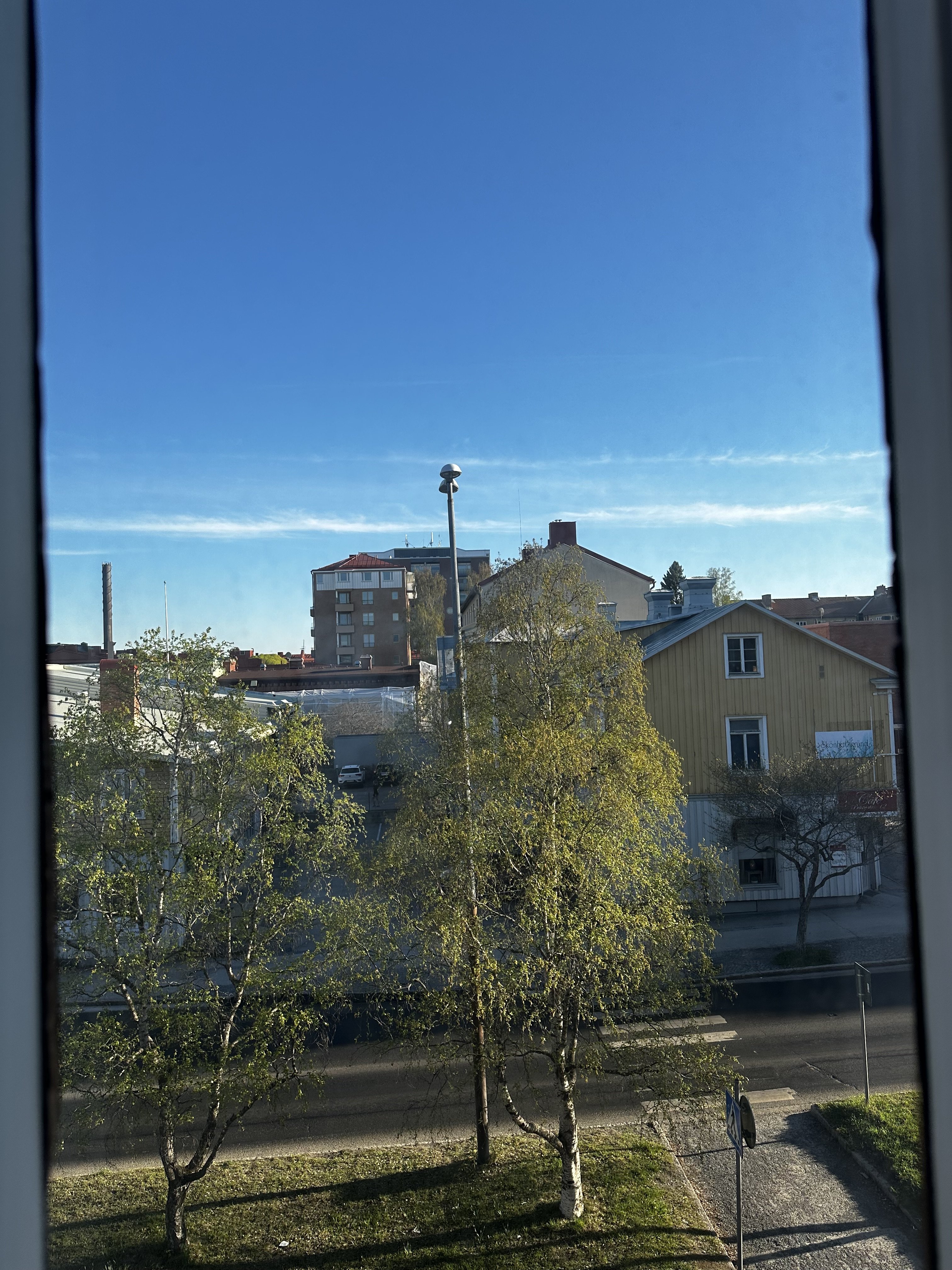 IMG_2017.jpeg