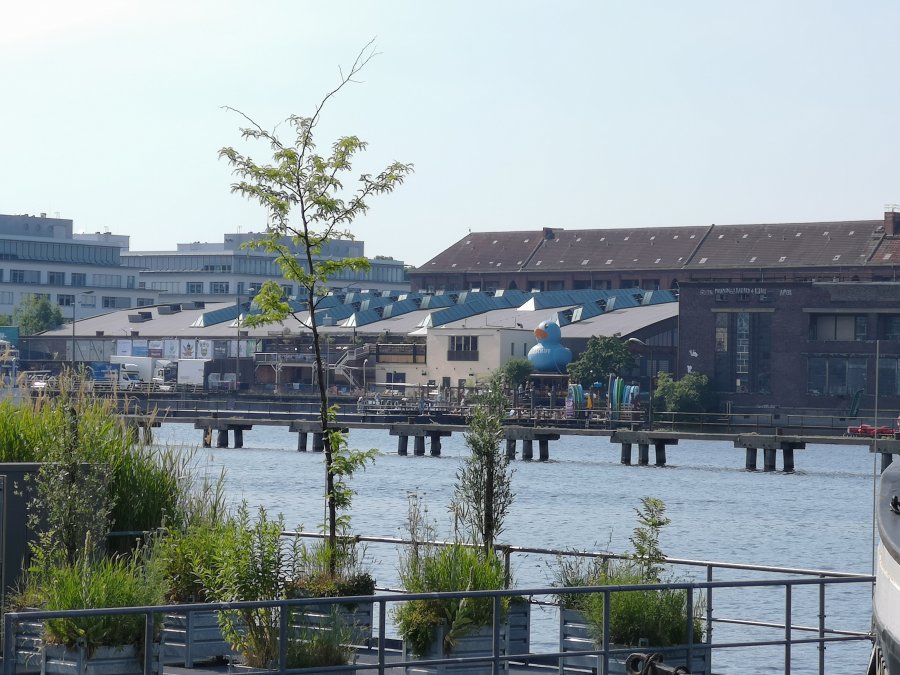 IMG_20190619_100141.jpg