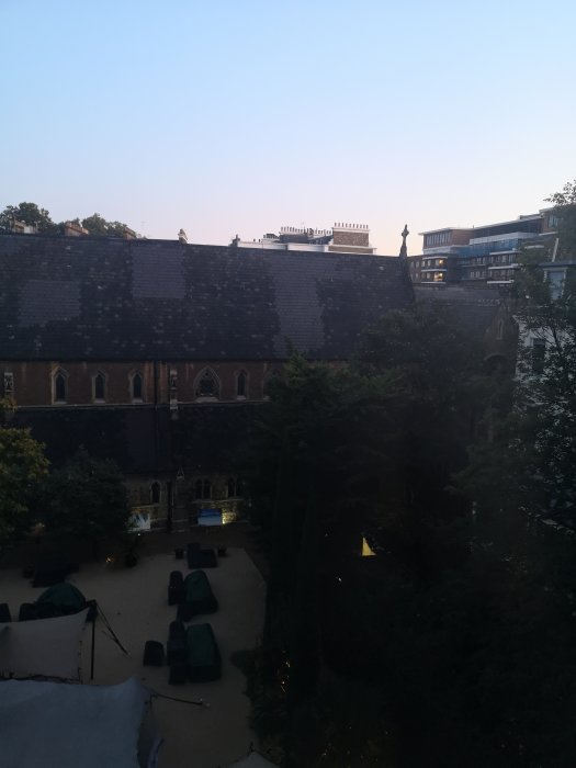 IMG_20191002_064949.jpg