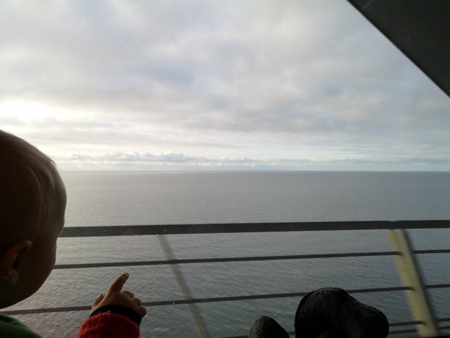 IMG_20191110_094646.jpg