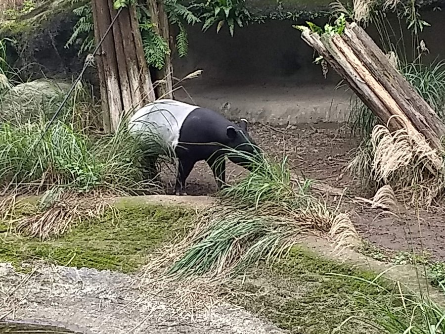 IMG_20191227_124748334.jpg