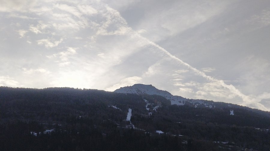 IMG_20200125_091333.jpg
