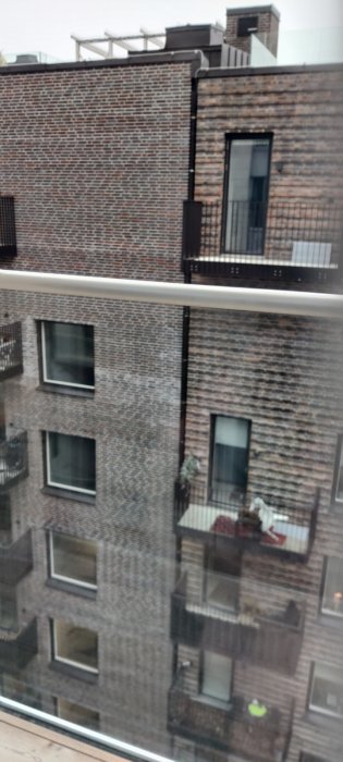 IMG_20210219_153615.jpg