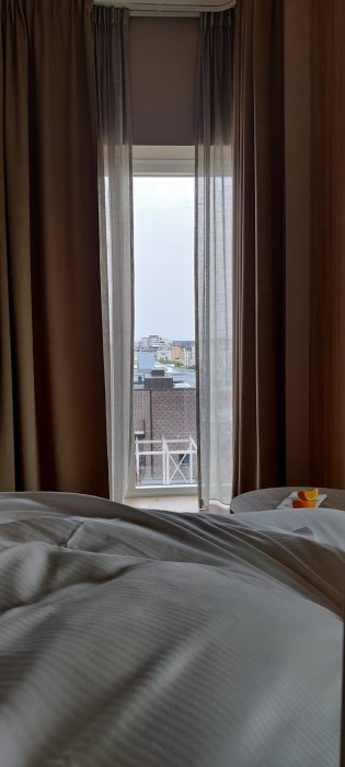 IMG_20210725_082204.jpg