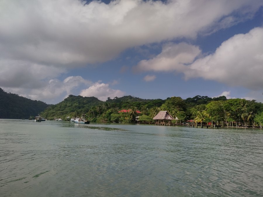 IMG_20211027_094832_HDR.jpg