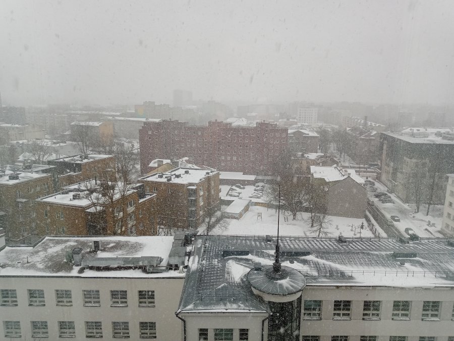 IMG_20220130_110315_2.jpg