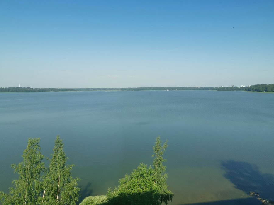 IMG_20220628_092017.jpg