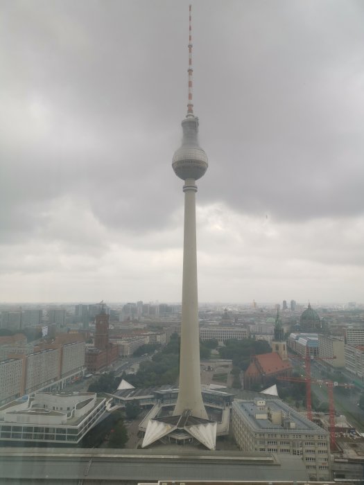 IMG_20220911_103559.jpg