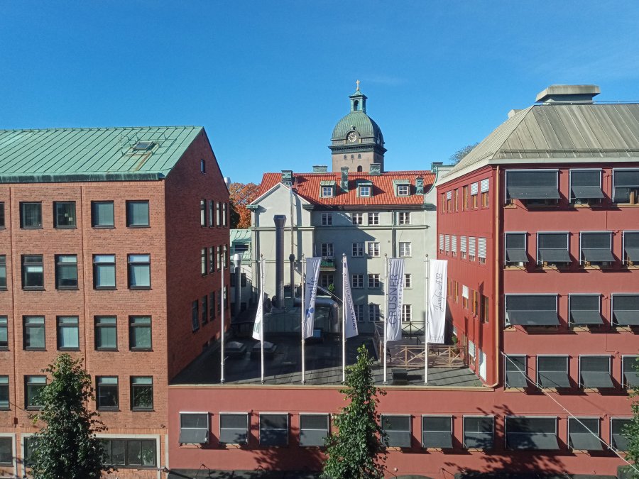 IMG_20220917_101734_8.jpg