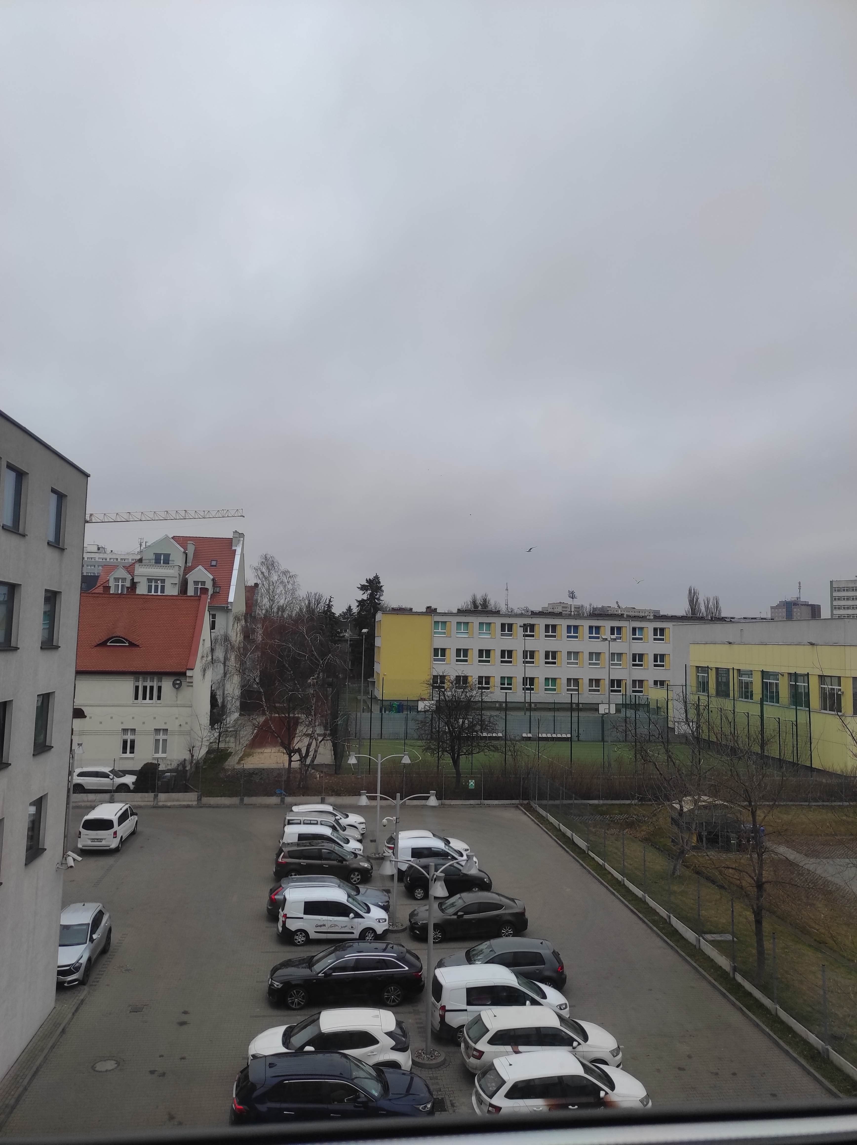 IMG_20230303_102837.jpg