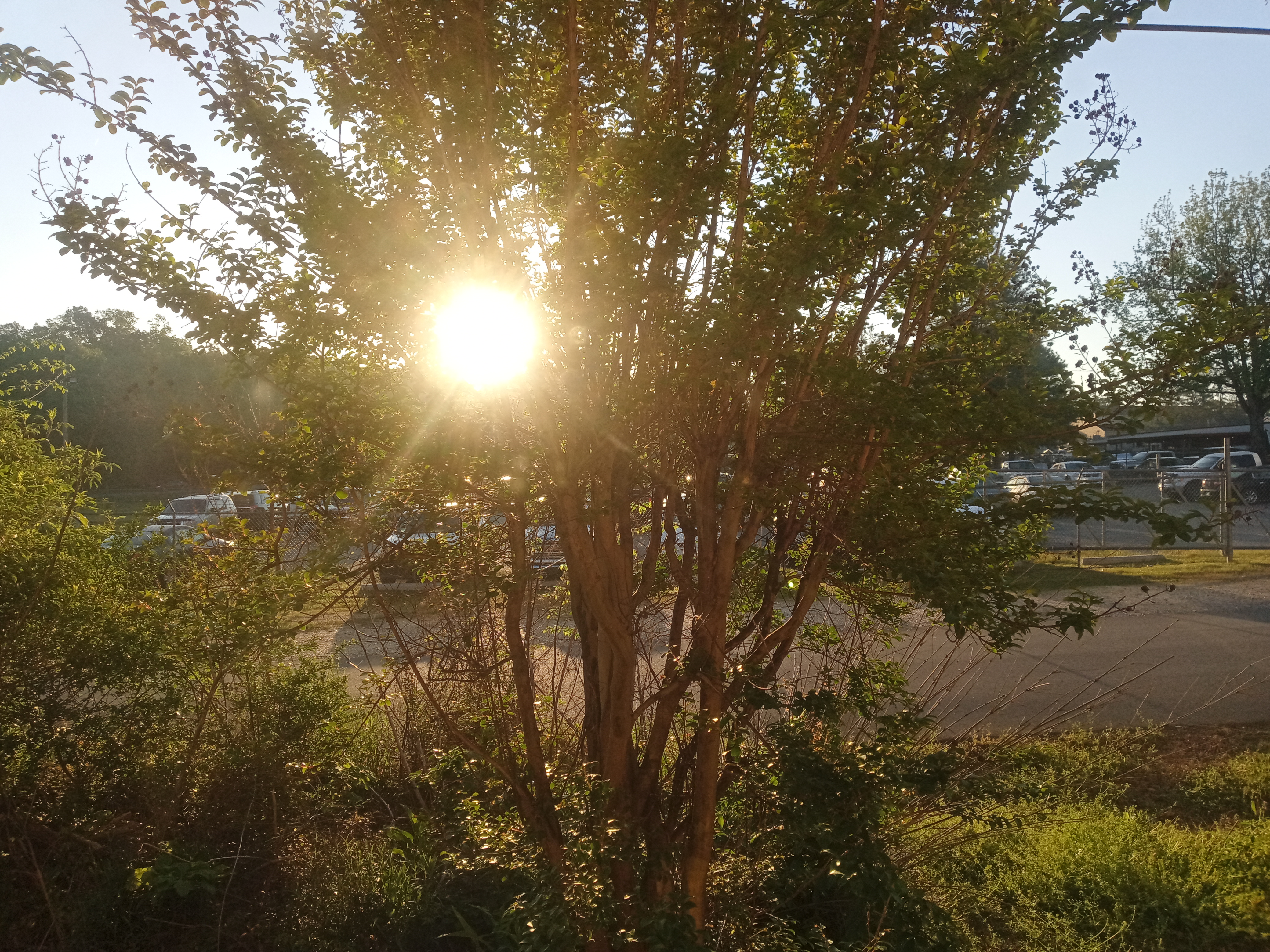 IMG_20230414_071806_2.jpg