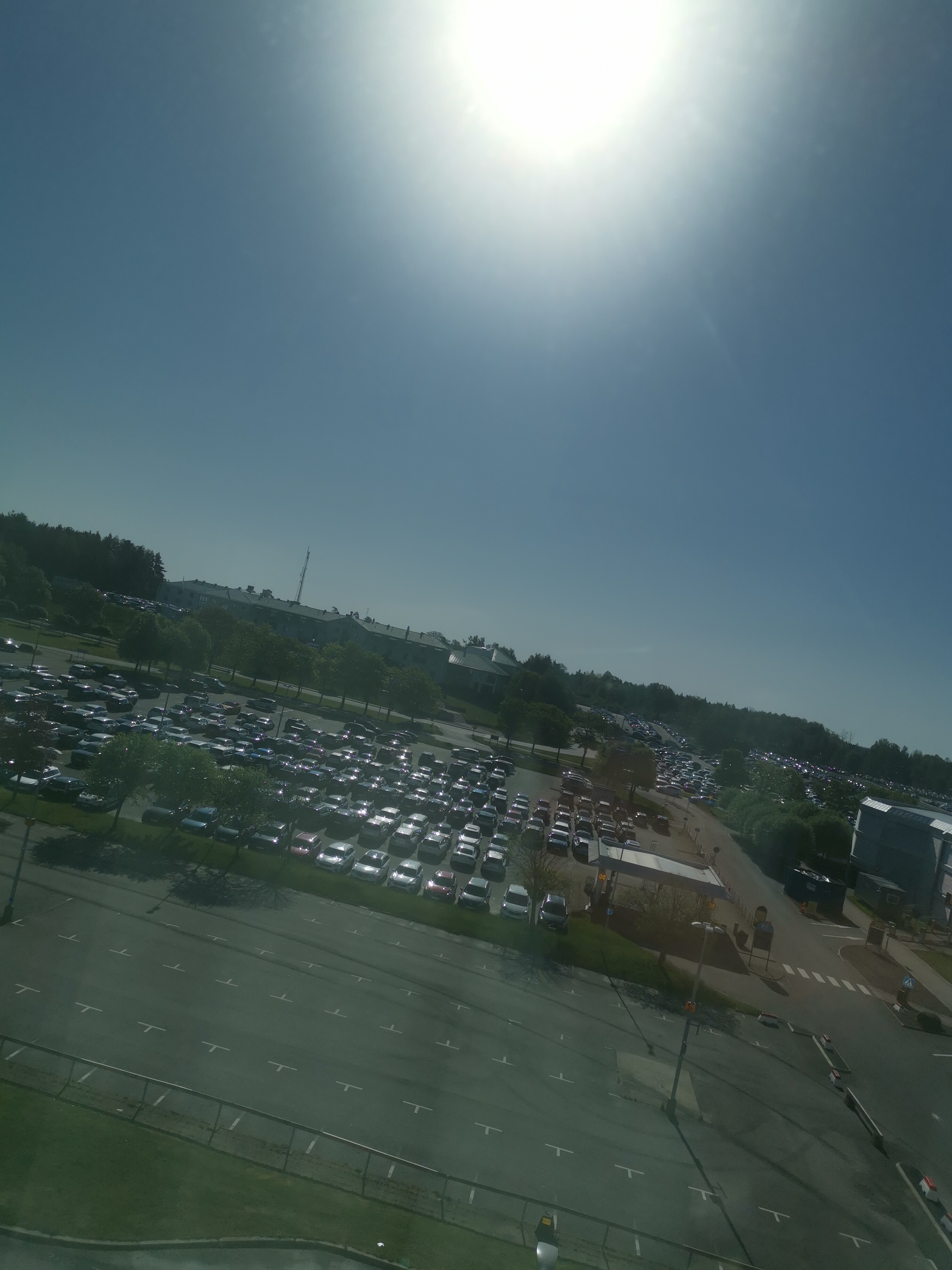IMG_20230520_091134.jpg