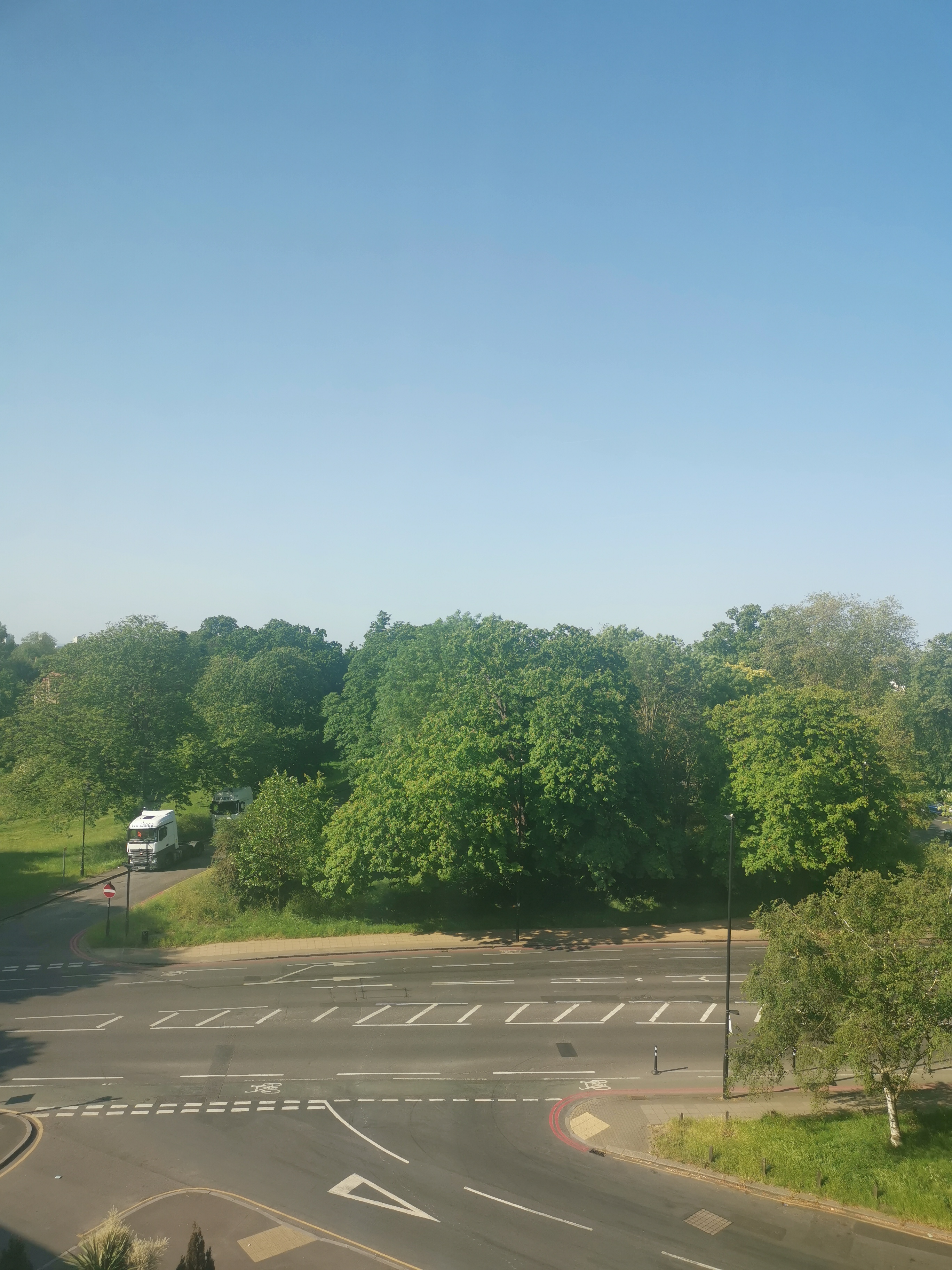 IMG_20230604_085114.jpg